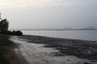 黄昏下的宁静海边景色