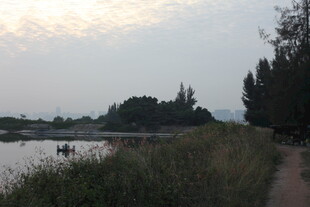 河畔小路的静谧黄昏景色