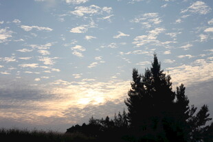 夕阳下的树木与天空美景