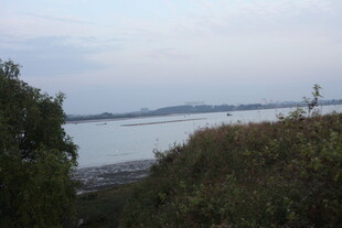 湖畔绿树环绕的宁静景致