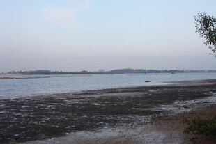 黄昏下的宁静河岸风光