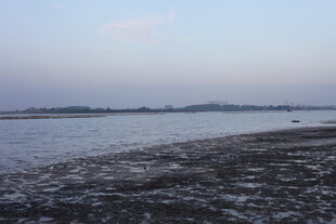 宁静湖畔的岸边景致