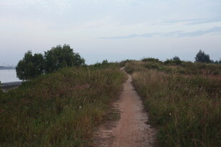 乡间小径悠享自然之美