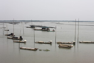 水上停泊的多艘船只