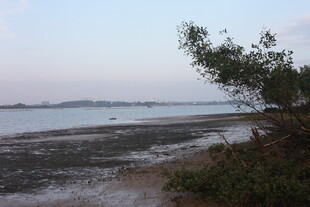 黄昏下的静谧河岸风光