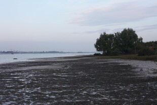 黄昏下的河畔湿地景观