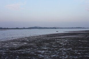 宁静河畔的开阔自然景致