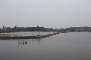 宁静湖面与远处堤岸景象