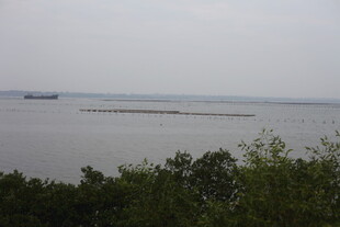 湖畔远景绿树与水域相映