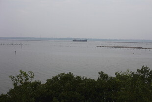 海边远景绿植点缀海面