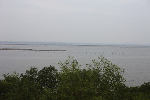 湖畔绿树环绕的开阔景致