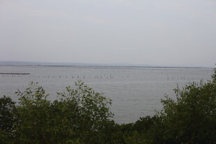 湖畔绿树环绕的宁静水域