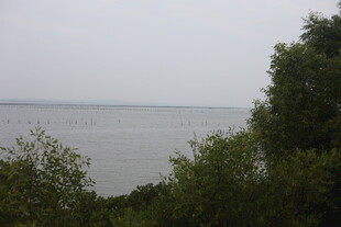 湖畔绿树环绕的宁静景致