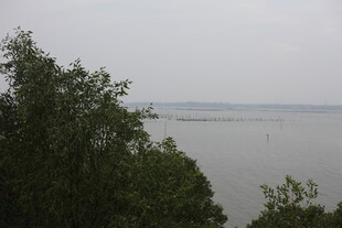 湖畔绿树环绕的宁静景致