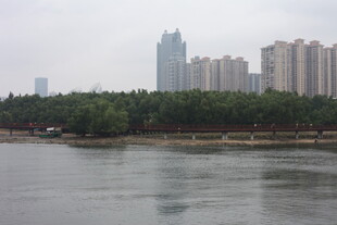 河畔高楼与绿树景观