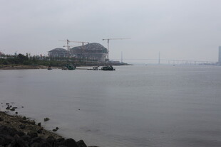 江边远景朦胧建筑与水域