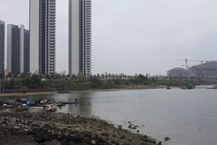 城市河畔高楼景观