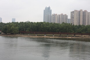 河畔城市风光景色