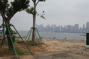 江边写生景城市在远方