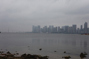 雾中城市海岸线景观