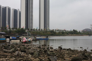 城市滨水景观的独特风光