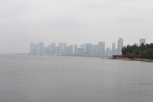 雾中城市滨水景观