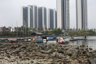 海滨城市岸边船只与高楼