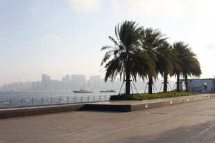 海滨椰树旁的空旷道路