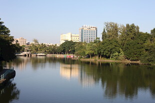 湖畔城市风光宁静美好