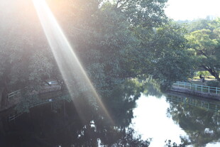 阳光洒落林间湖泊美景