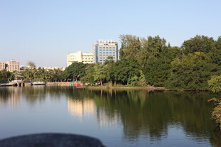 湖畔绿树环绕的宁静风光