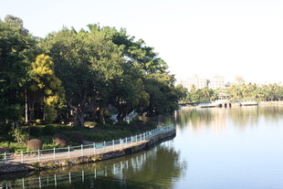 湖畔绿树环绕的优美景致