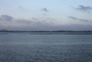 黄昏下的宁静水面