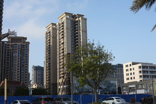 城市高楼与绿树景观