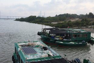 江边停泊的几艘特色船只
