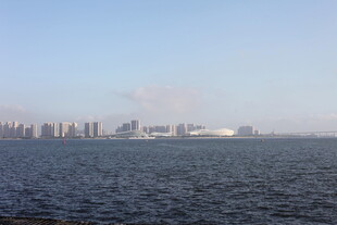 城市远景与辽阔水域景观