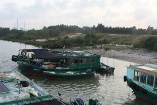 河上停泊的多艘老式船只