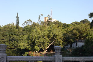 绿树掩映中的建筑景观