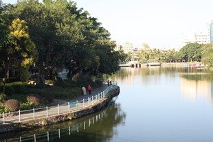 湖畔美景绿树环绕河岸