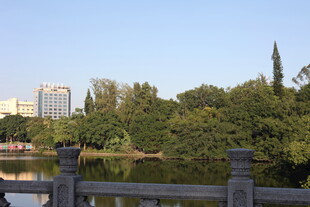 湖畔绿树环绕的城市景致