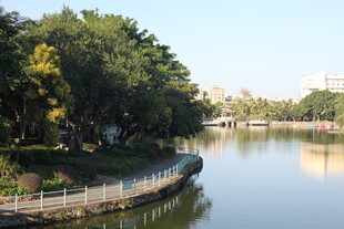 湖畔绿树环绕的宁静美景