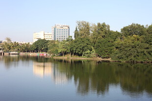 湖畔城市风光绿树环绕