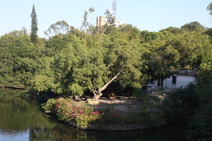 湖畔绿意盎然的自然景致