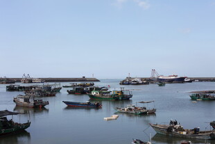 海上停泊的众多渔船