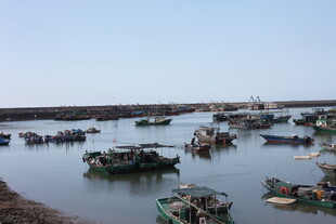 渔港停泊众多渔船