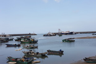 海港停泊的众多渔船