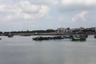 江边停泊船只的宁静景象