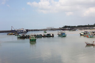 宁静港湾中的停泊渔船