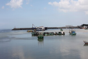 海边码头停泊的几艘小船