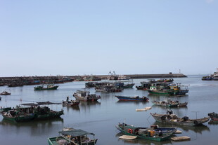 海港停泊众多渔船